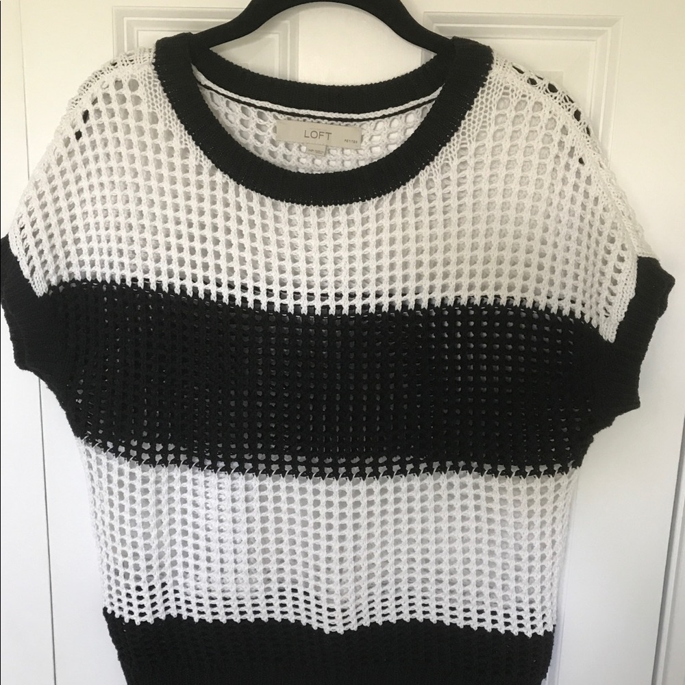 Ann Taylor Net Top